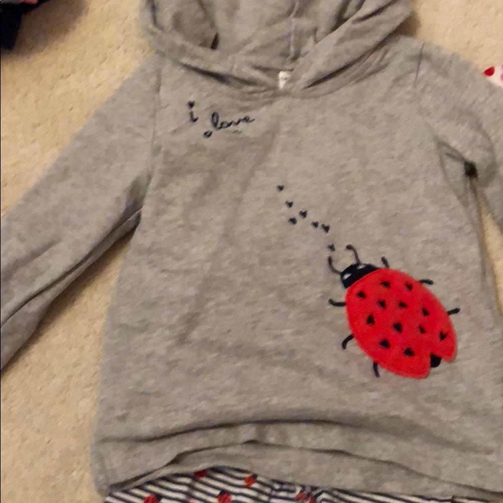 Girls Ladybug Outfit
